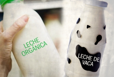 Leche de vaca organica
